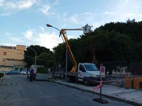 Potatura alberi alla scuola Ingrassia, Palermo