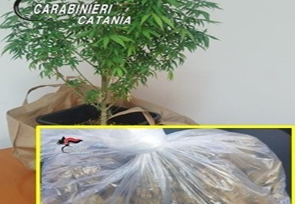 Operazione a largo raggio dei carabinieri nel Catanese, scoperti furti di auto, energia elettrica e spaccio di droga