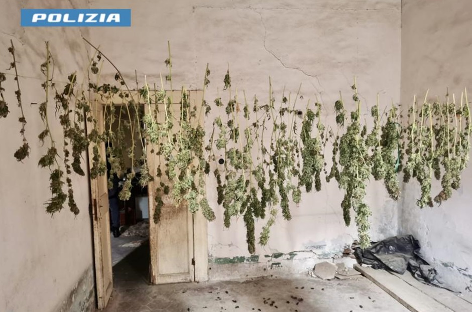 Arrestato nel Messinese un 34enne, la polizia si è messa sulle sue tracce dopo aver sentito il forte odore di marijuana provenire da casa