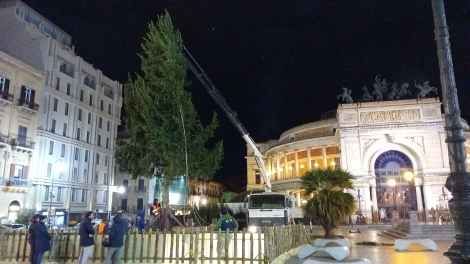 Albero di Natale in piazza Ruggero Settimo, Palermo