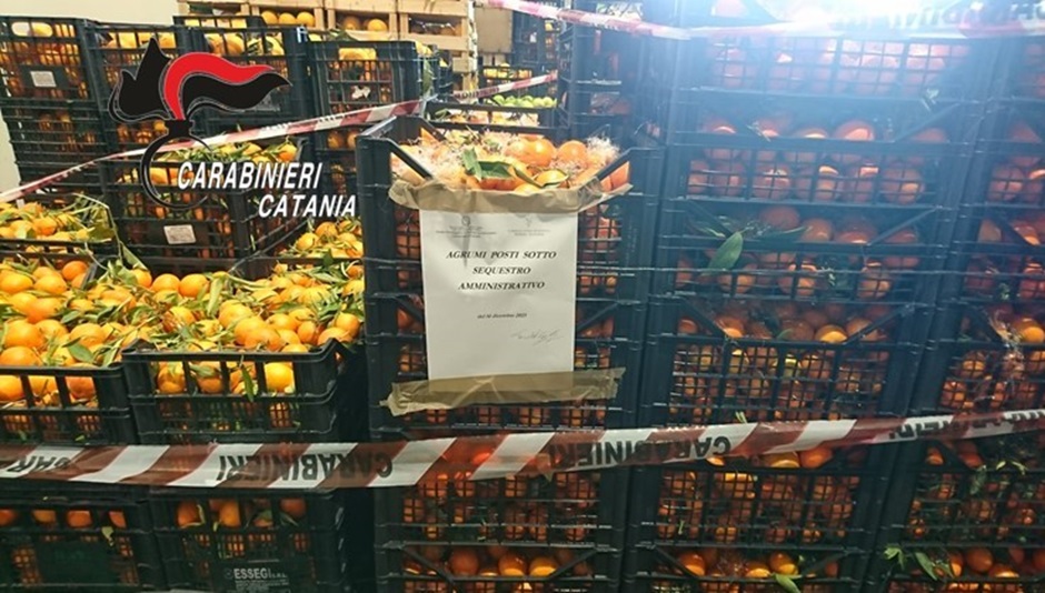 Donati al banco alimentare 8 mila chili di agrumi sequestrati nel Catanese perché non tracciabili, attestata l’idoneità al consumo