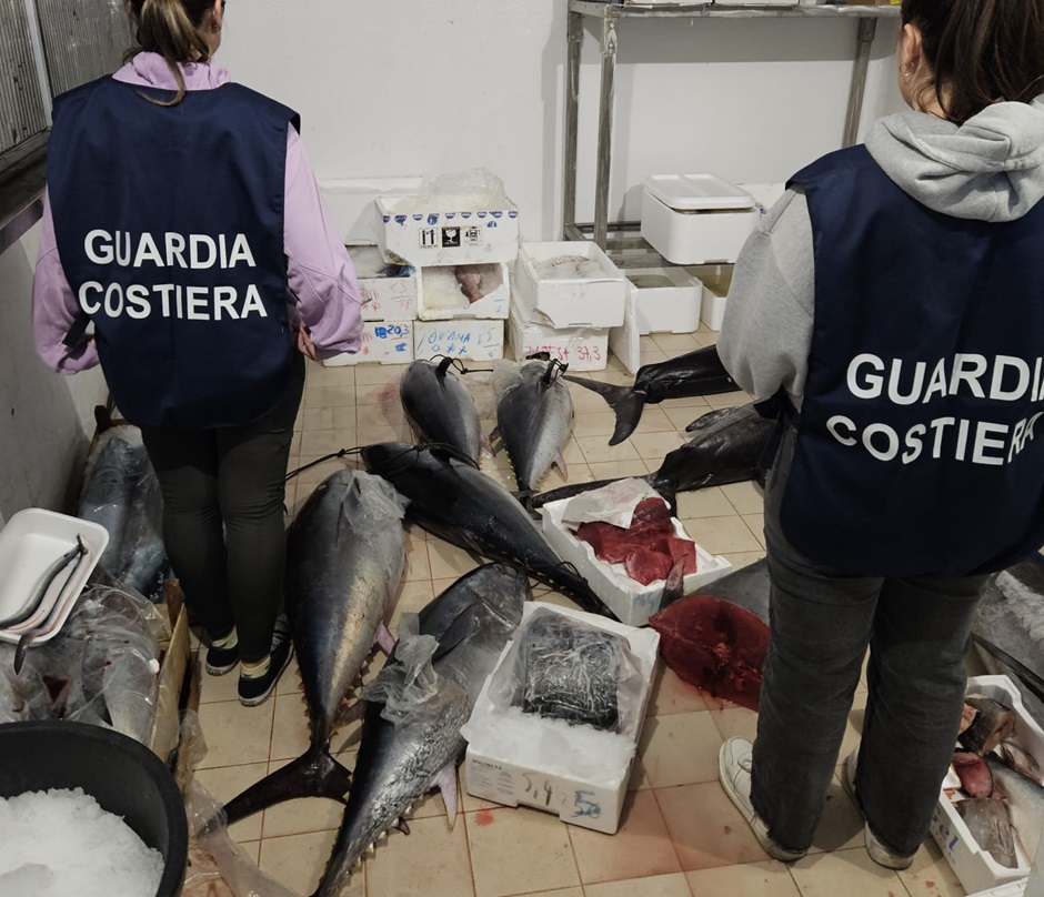 Catania maxi sequestro 800 chili pesce non tracciabile guardia costiera 29-12-2023