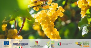 “Regione europea della Gastronomia 2025”: la Sicilia è sempre più protagonista a tavola. Ecco perché