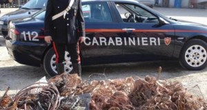 Rubati 600 chili di cavi Tim nel Palermitano, la denuncia dell’azienda