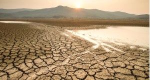 La siccità mette in ginocchio la Sicilia, Coldiretti invoca lo stato di emergenza