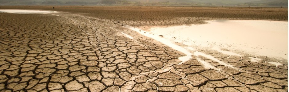 Arrivano 113 milioni per l’emergenza siccità in Sicilia, “Risposta concreta e veloce”