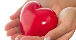 Donazione degli organi in Sicilia, lavorare per incrementarla