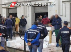 Sequestrati mille chili di pesce al mercato ittico di Palermo, commercianti abusivi fuggono