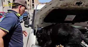 Sequestrati 3 chili e mezzo di cocaina in un furgone a Palermo, arrestato latitante