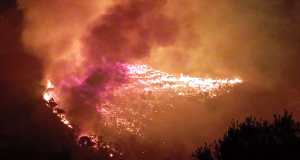 Danni incendi in Sicilia, Irfis pubblica l’avviso da 2,9 milioni, ecco come ottenere i contributi