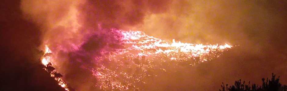 Danni incendi in Sicilia, Irfis pubblica l’avviso da 2,9 milioni, ecco come ottenere i contributi