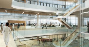 Tessuti “umani” creati in laboratorio, impiantata su un animale la prima corda tendinea bioingegnerizzata