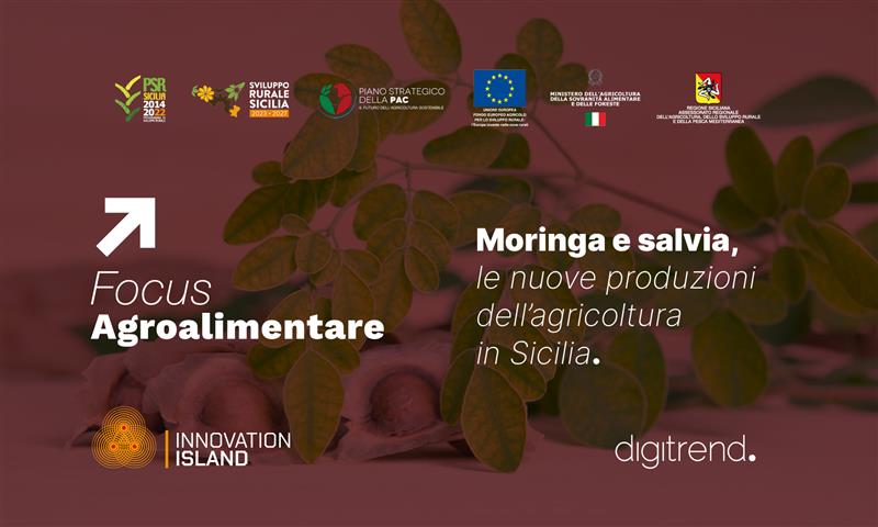 Prevania, il progetto Made in Sicily dedicato alla moringa (podcast)