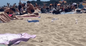 Mondello, tra tribunali e realtà: il prezzo della confusione pubblica