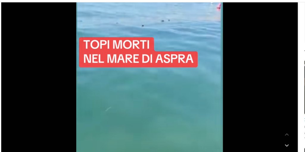Topi morti ad Aspra