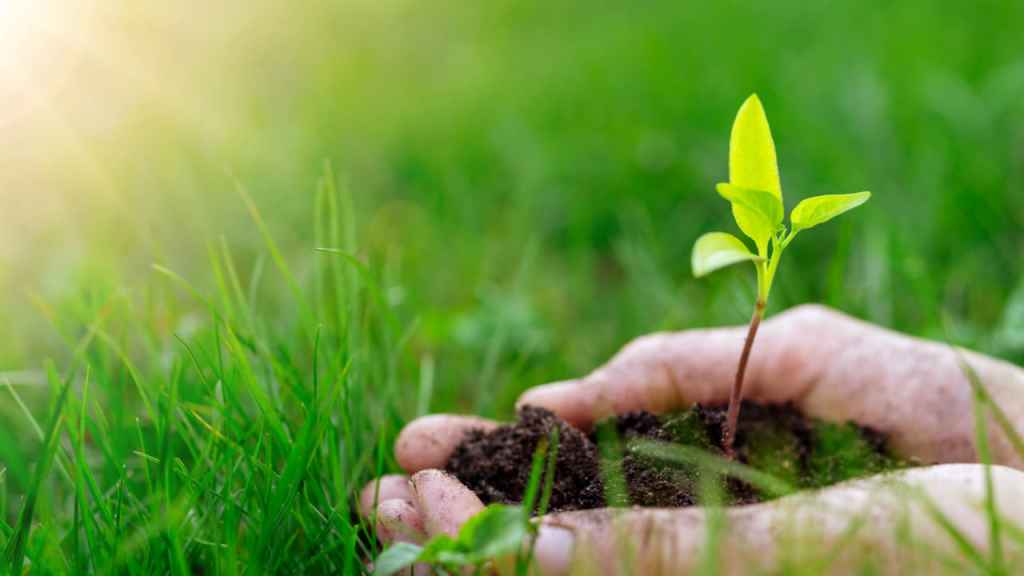 Premio Custode Ambiente