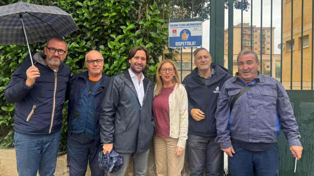 Fabrizio Ferrandelli tabelle colonie feline