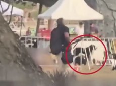 Il cane resta accanto al padrone ucciso mentre tutti fuggono: le immagini più strazianti di Bondi Beach