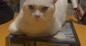 Il 2025 … non passerà alla Storia