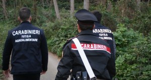 Operazione “grazing code”, sequestro da oltre 450 mila euro per truffa sui contributi agricoli