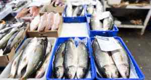 Ciclone Harry, cosa sta succedendo al prezzo del pesce