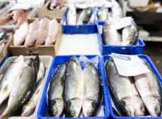 Ciclone Harry, cosa sta succedendo al prezzo del pesce