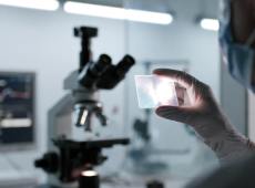 Tumore al pancreas, tripla terapia “azzerra” il tumore nei topi: cosa significa e cosa manca per l’uomo