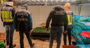 Fiumi di droga tra i bancali di frutta e verdura, 12 arresti tra Catania e la Spagna