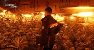 Serra indoor scoperta a Carini, tre denunciati e danni per 136 mila euro