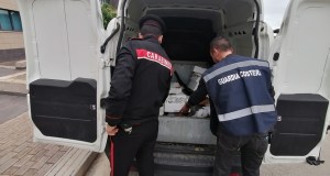 Multe e sequestri di pesce nella zona di Corso Pisani e via Oreto a Palermo