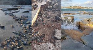 Ciclone Harry, partono i lavori al porto di Lampedusa. Cantieri già operativi a Linosa