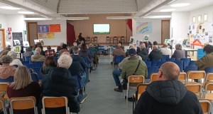 Nuova linea del Tram al posto degli alberi in via Basile, mobilitazione dei palermitani