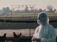 Influenza aviaria H9N2, primo caso umano in Europa rilevato in Lombardia