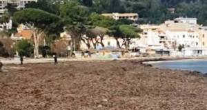 Al via i lavori sul lungomare di Mondello, rimozione sabbia, posidonia, detriti e rifiuti ma dopo il ciclone la spiaggia si è ristretta
