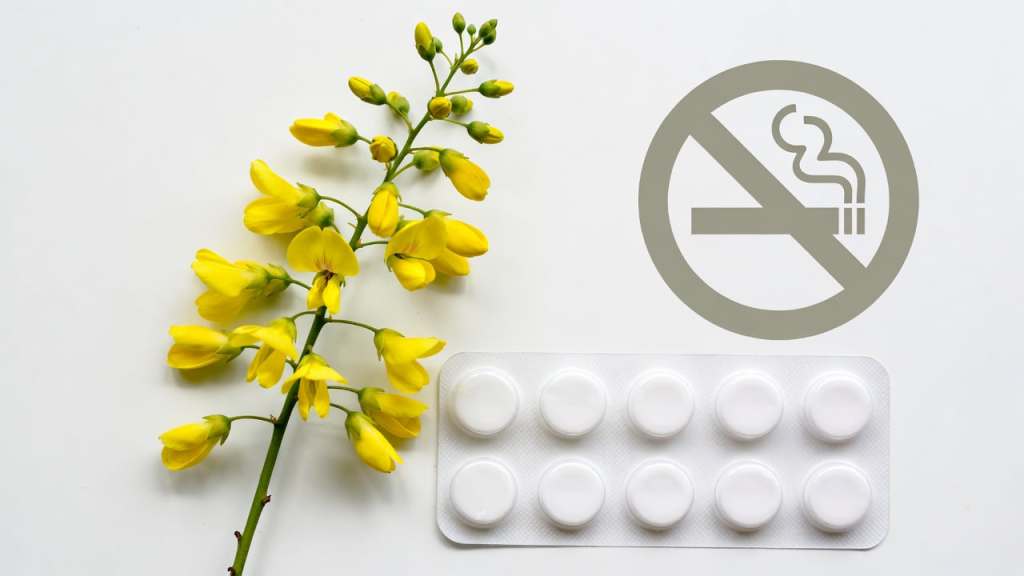 Fiori di maggiociondolo e confezione farmaco — citisina Recigar rimborsata SSN dal 2026