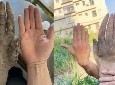 Sembra una mano umana ma è un ortaggio: la scoperta che sta facendo il giro del web