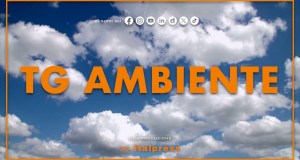 Tg Ambiente – 15/3/2026