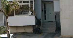 Falso invalido e trafficante in fuga, arrestato a Palermo dopo la latitanza in Spagna