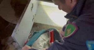 Maxi sequestro di droga a Catania, undici chili tra cocaina e hashish, arrestati zio e nipote