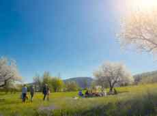 Pasqua con il sole in tutta Italia: torna il clima ideale per stare all’aperto