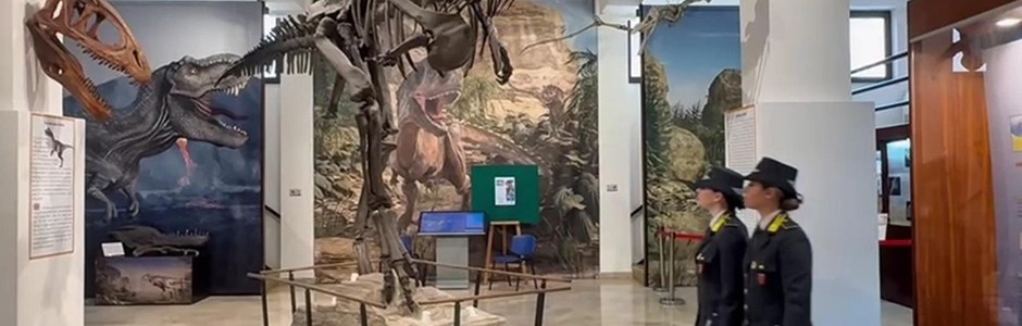 Sequestrati 17 reperti fossili allo scalo Falcone Borsellino e consegnati al museo Gemmellaro