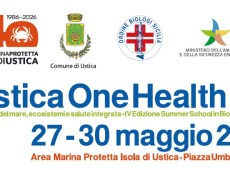 Al via “Ustica One Health 2026”: da domani al 30 maggio la IV Summer School in Biologia Marina Applicata