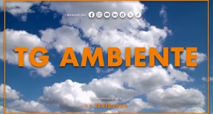 Tg Ambiente – 24/5/2026