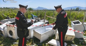 Discarica abusiva di elettrodomestici a Partinico, denunciato un giovane
