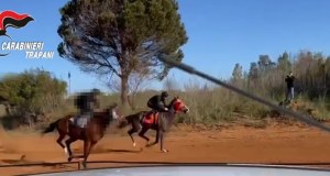 Corse clandestine di cavalli a Triscina, cinque indagati