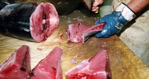 Sette intossicati dopo avere mangiato tonno a Palermo, uno in terapia intensiva