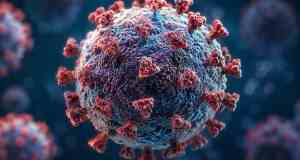 Hantavirus, la Francia conferma il primo contagio: “Condizioni peggiorate nella notte”
