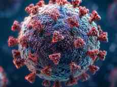 Hantavirus, la Francia conferma il primo contagio: “Condizioni peggiorate nella notte”