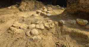 Trovate oltre 100 uova di dinosauro grandi come palloni da calcio: risalgono a 70 milioni di anni fa
