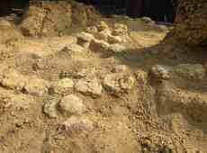 Trovate oltre 100 uova di dinosauro grandi come palloni da calcio: risalgono a 70 milioni di anni fa
